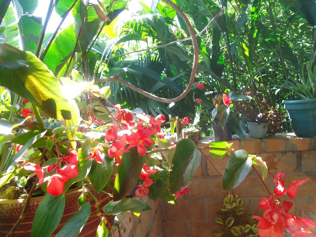 San Agustín Hostal Pachamama מראה חיצוני תמונה